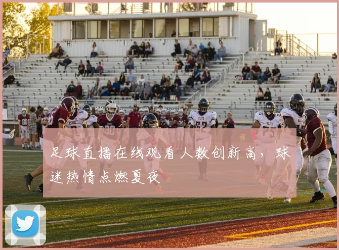 足球直播在线观看人数创新高,球迷热情点燃夏夜