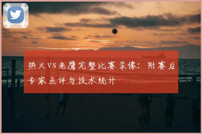 热火vs老鹰完整比赛录像：附赛后专家点评与技术统计