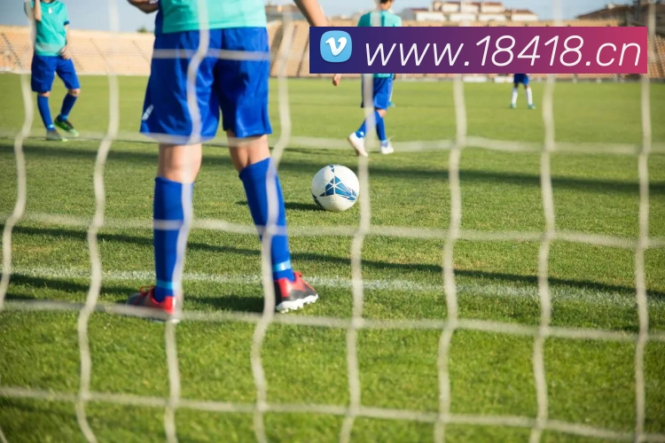 beat365唯一官方网站平台生态图